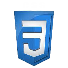 CSS